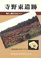 寺野東遺跡　ずいそうしゃブックレット3