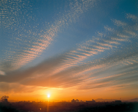 巻積雲